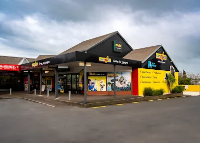 CareVets Hamilton South header