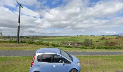 Denture Max Hamilton header