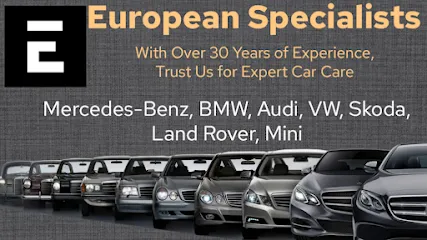 European Specialists header