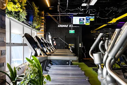 Flex Fitness NZ Ltd (Head Office) header