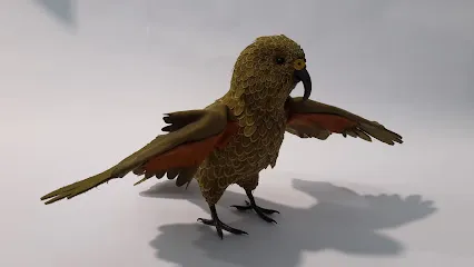 Holsim Veterinary Education & Simulation Models header