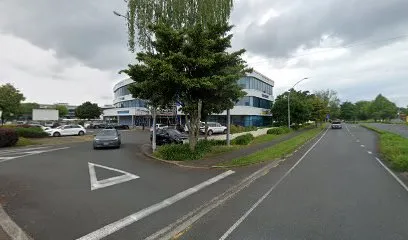 Mike Gordon Endodontist header