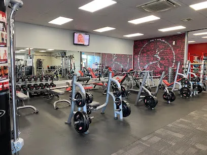 Jetts Hamilton The Base header