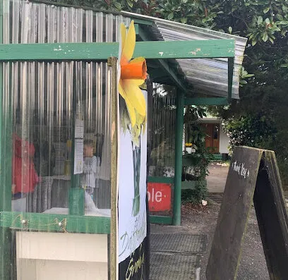 Clandon Daffodils header