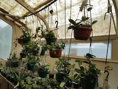 Kaimai Garden Centre header