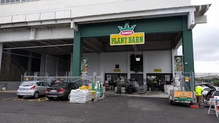 Kings Plant Barn Remuera header
