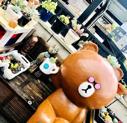 Little Star Succulents header