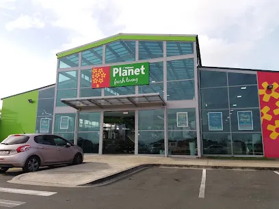 Palmers Albany header